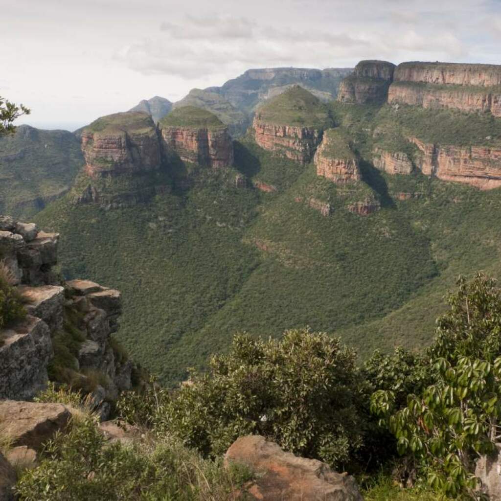Eswatini Mliliwane Wildlife Sanctuary